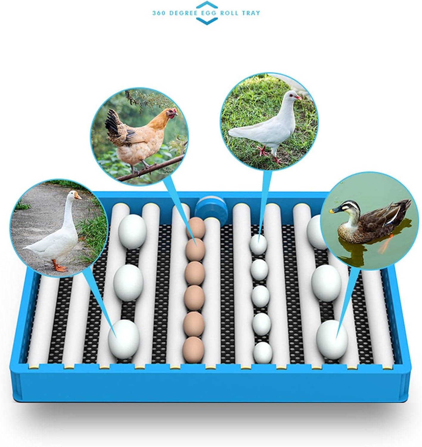 Egg Incubator, 6-320 Digital Fully Automatic Incubator for Chicken Eggs, Poultry Hat Chicken Duck Bird Brooder (9 Pcs Double Supply) (24 Pcs Single Supply)