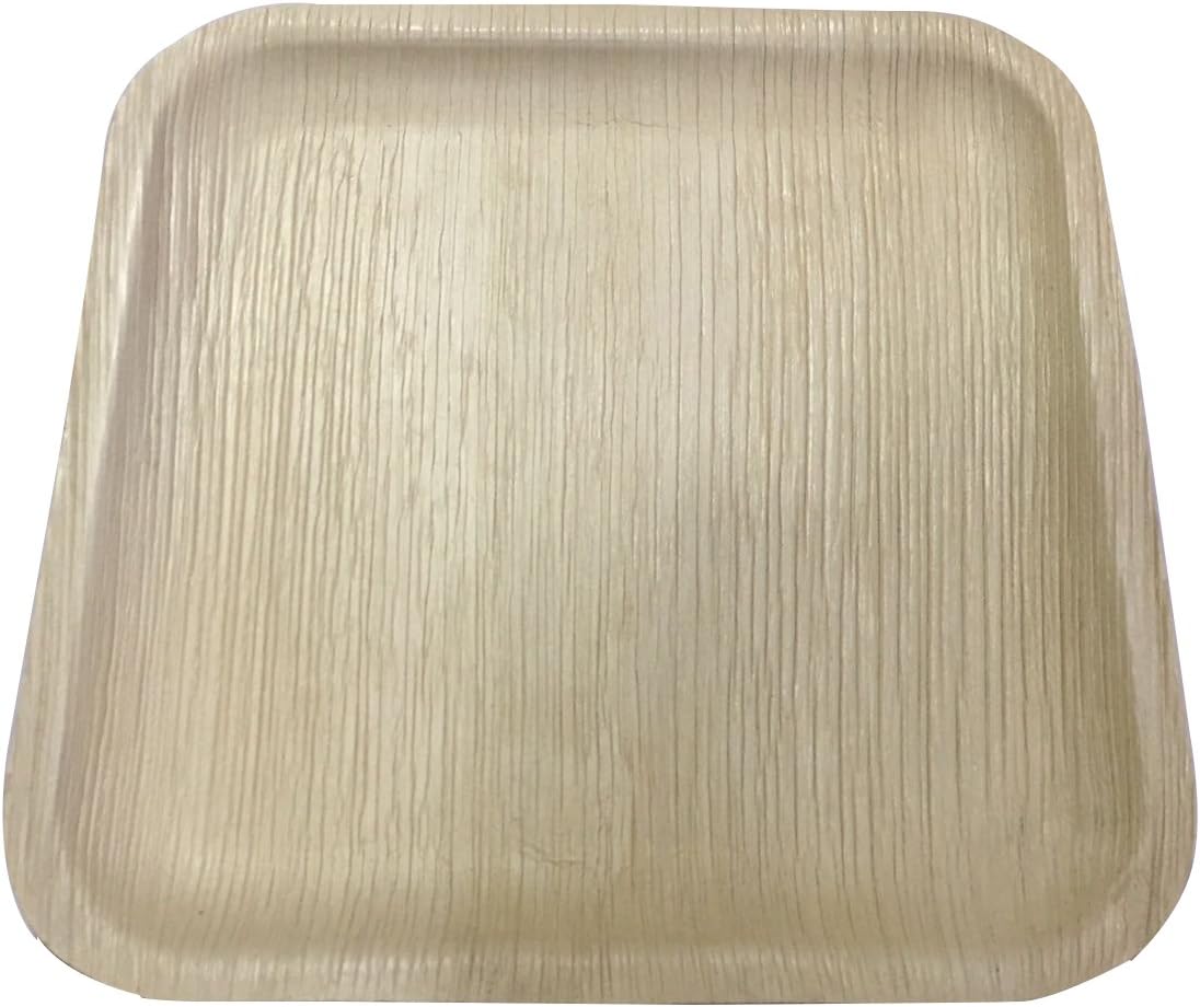 Eco-Friendly Disposable Party Plates - 25cm Square (25 Plates)