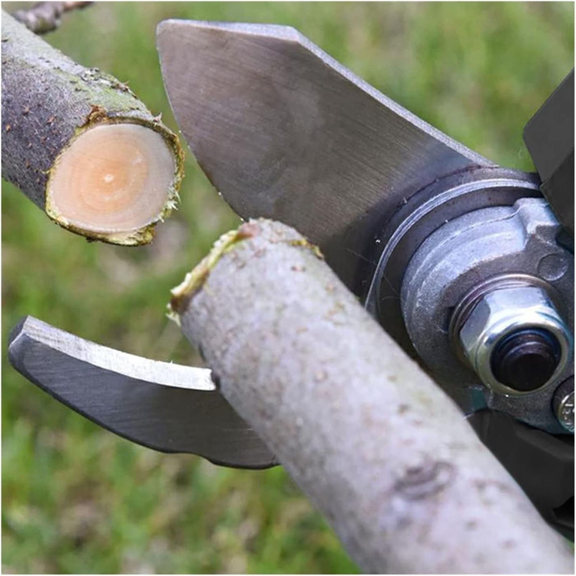 Potatore Elettrico Telescopico a Batteria – Lama 15 cm, Asta Estendibile fino a 3 m, Batteria Ricaricabile Inclusa, per Potatura Alberi e Rami Alti | WHIZZPRUNER