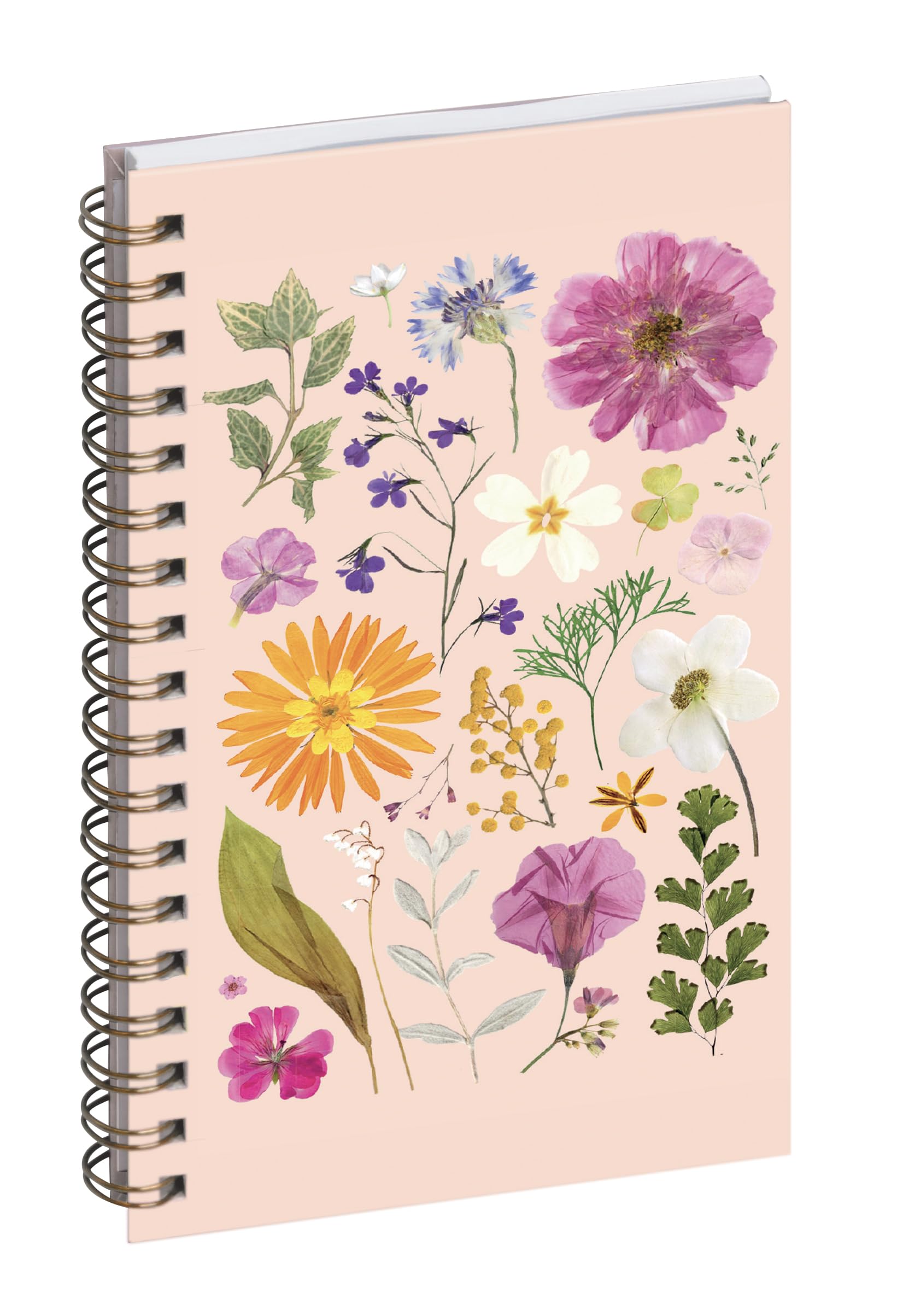 Exacompta 1608027E Eurotime 16S Spiral Pocket Diary Chemin des Marettes Recycled Interior 9 x 16 cm Week to View January to December 2026 – Pink