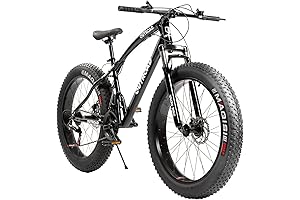 Outroad Fat Tire Electric Mountain Bike