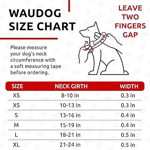 Miniatura 6 de WAUDOG Collar de cuero enrollado ultrasuave para perros pequeños, collares acolchados suaves para perros medianos, collares de cachorros para perros