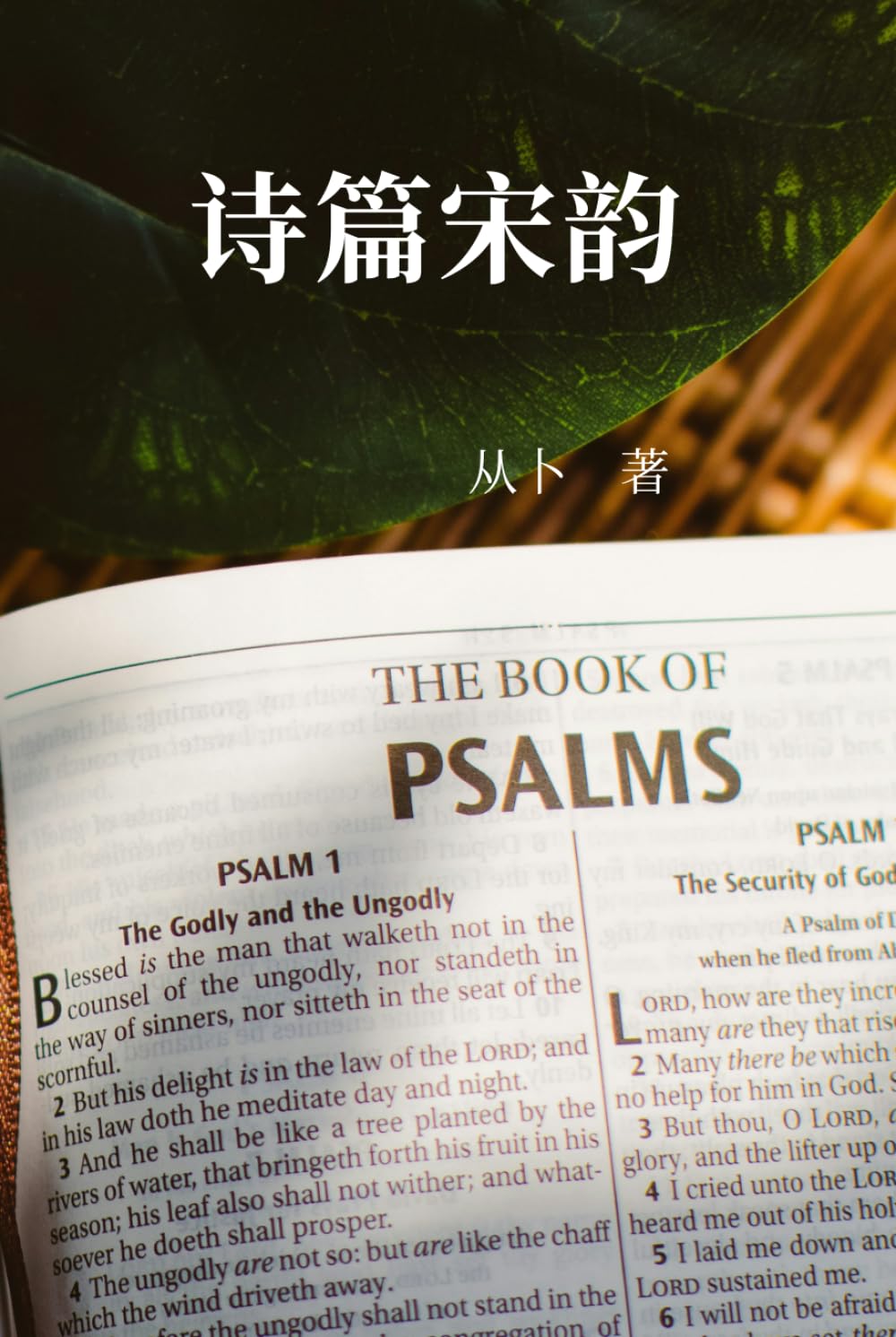 DEVOTIONAL REFLECTIONS ON THE PSALMS IN CLASSICAL CHINESE CI POETRY《诗篇宋韵》（简体）: A collection of classical Chinese Ci Poetry (simplified Chinese edition)