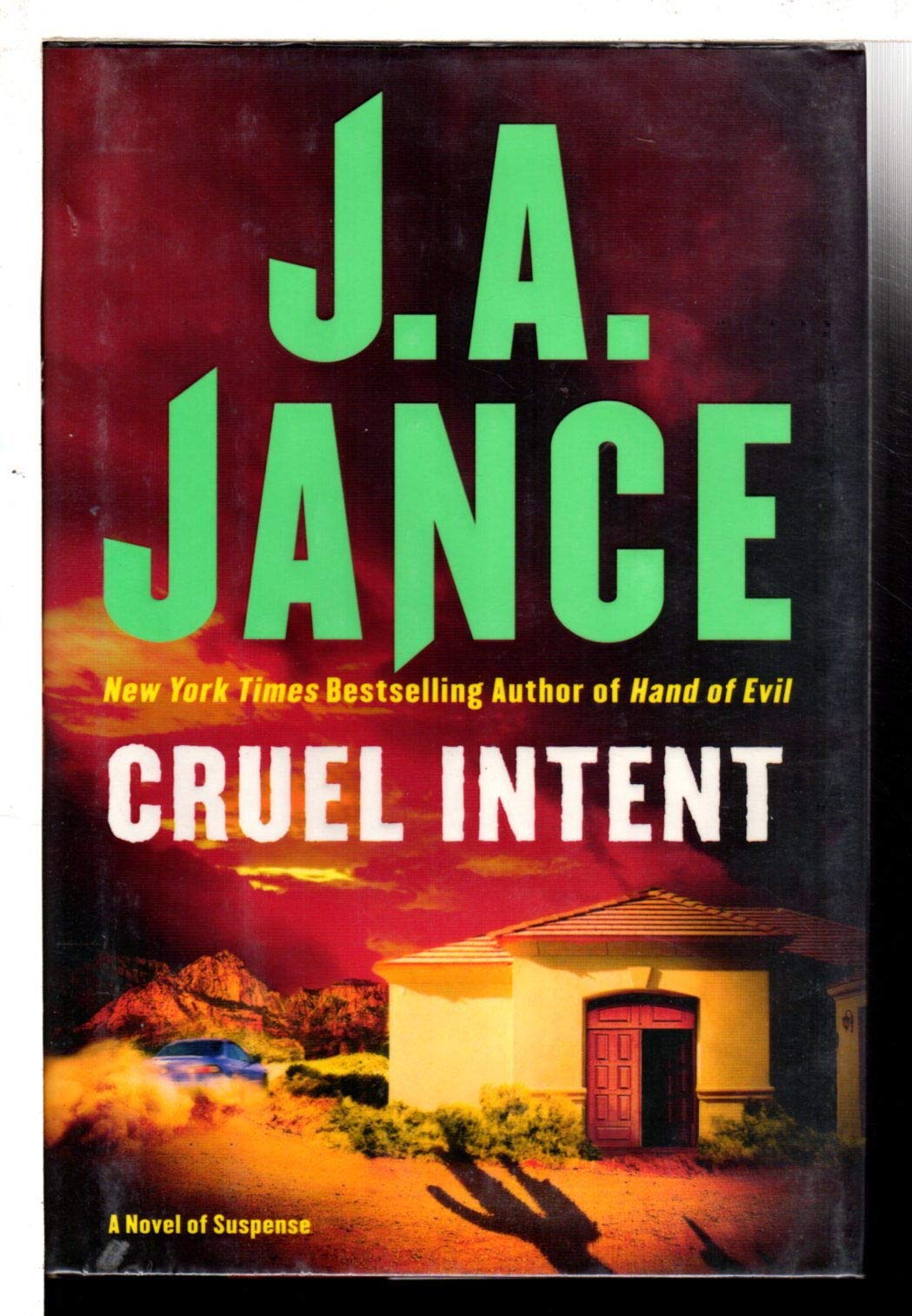 Cover of Cruel Intent