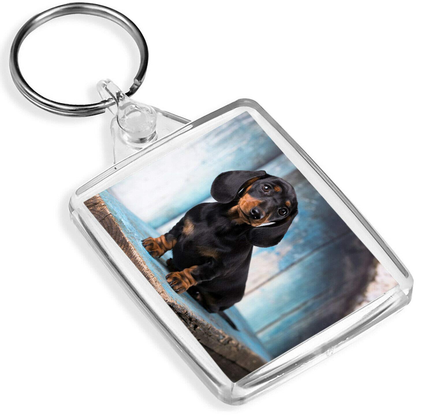 Destination Vinyl Keyrings Unisex Multi German Breed Dachshund Keyring - Ip02 - Sausage Dog Puppy Pets Cute #16342