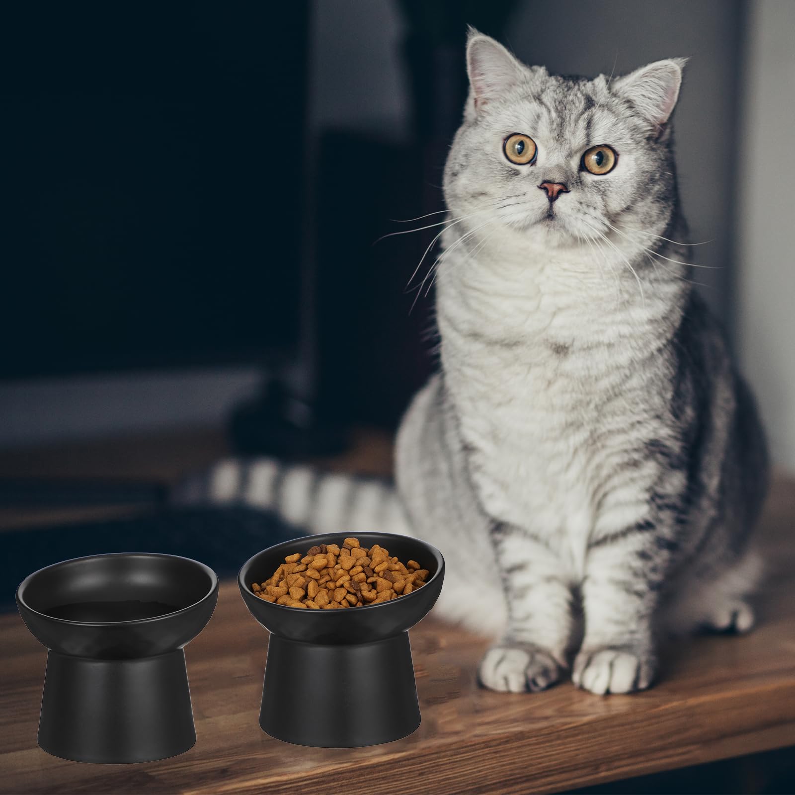 Set di 2 ciotole inclinate in ceramica anti-ribaltamento, per cibo e acqua per gatti inclinate, antiscivolo, anti-stress, per gatti e cani di piccola taglia, lavabili in lavastoviglie e adatte al