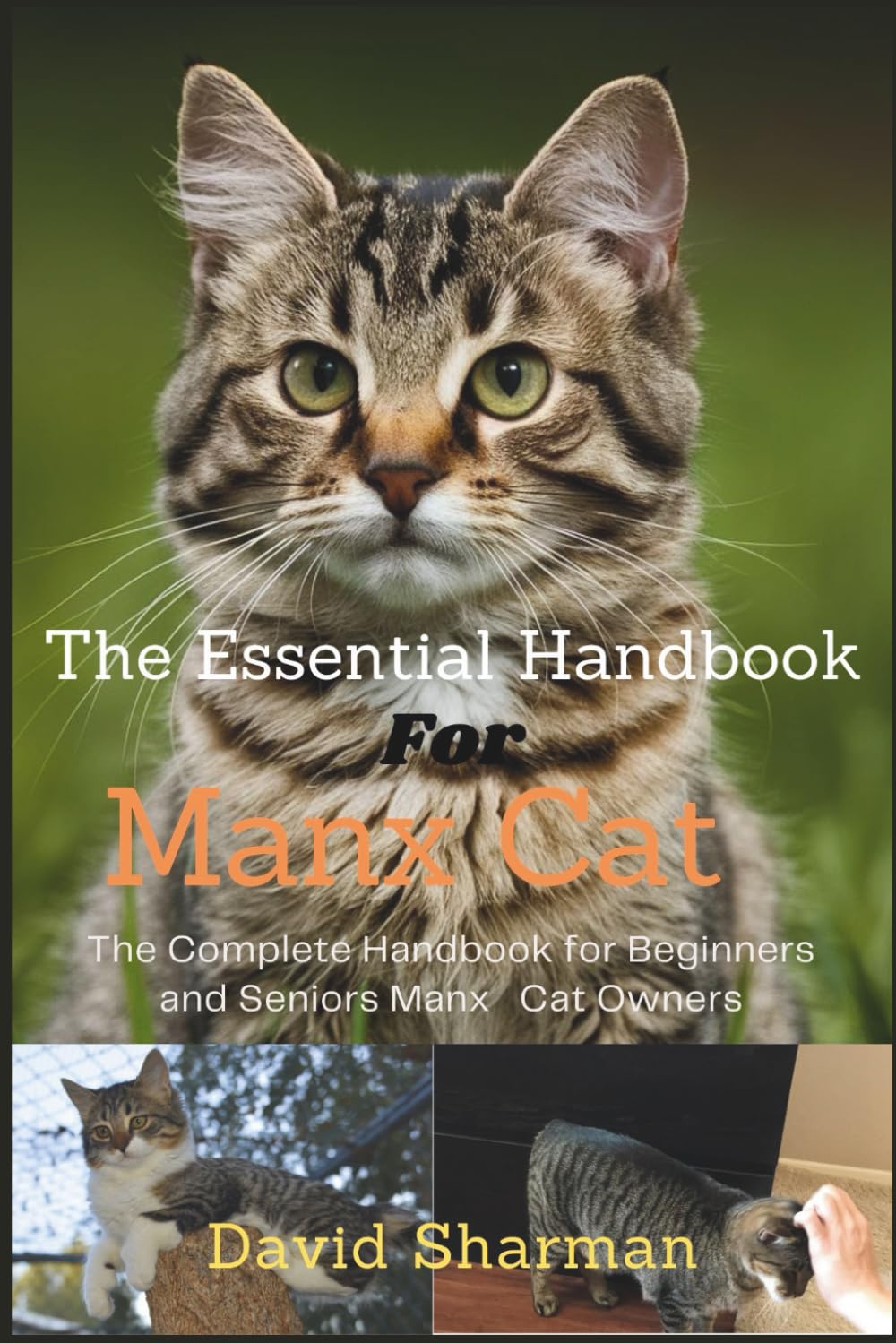 THE ESSENTIAL HANDBOOK FOR MANX CAT: The Complete Handbook For Beginners And Seniors Manx cat owners
