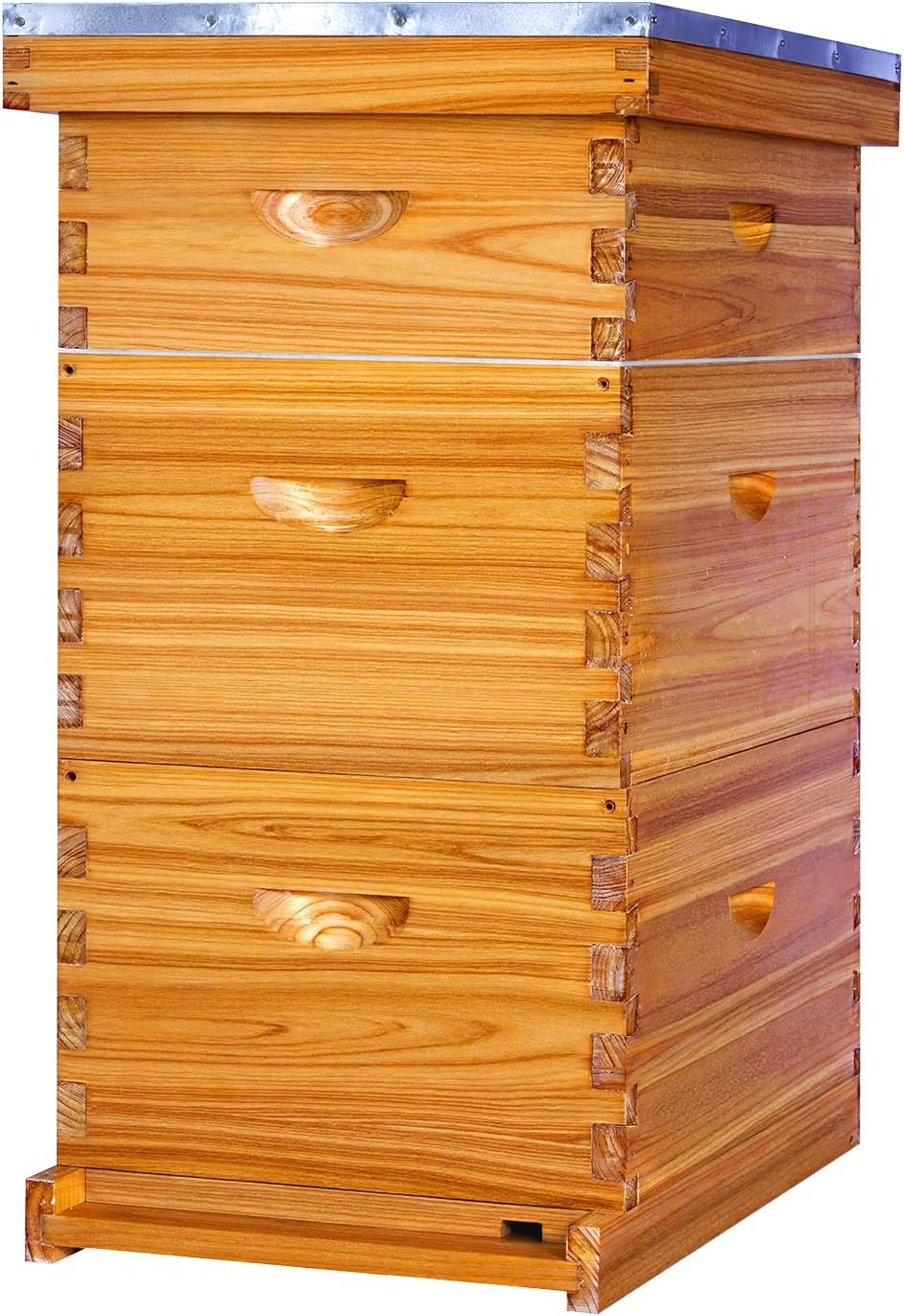 Honey Lake 8-Frame Langstroth Beehive Starter Kit, Beeswax-Coated Hive Boxes with 2 Deep Brood Boxes & 1 Medium Super, Includes Wooden Frames & Waxed Foundations, Complete Beekeeping Kit for Beginners