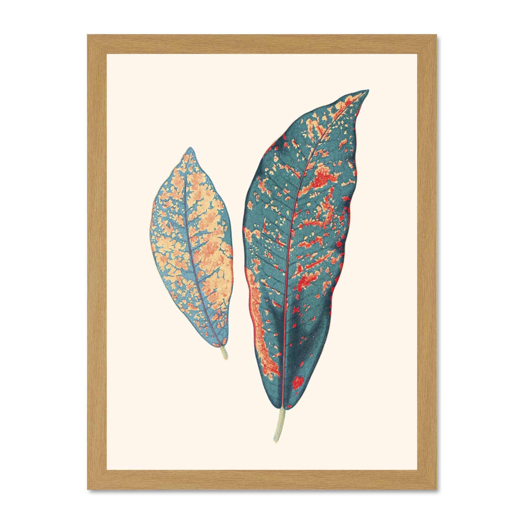 Wee Blue Coo Primary Coloured Exotic Leaves Large Light Oak Framed Art Print Wall Poster 18x24 inch