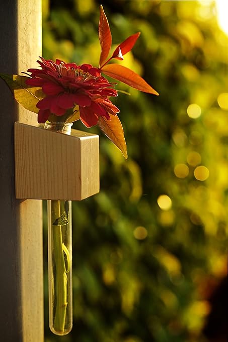 Labzio Home - Magnetic Cube Flower vase for Refrigerator Doors or Metal Surfaces