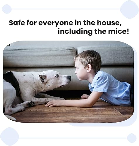 Miniatura 2 de Trampa para ratones humanitaria para el hogar y el país nuestras trampas para ratones están diseñadas como una trampa para ratones viva para