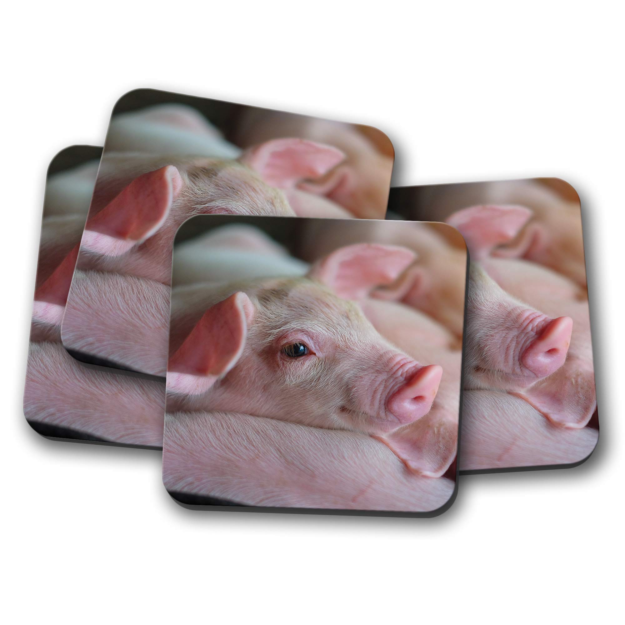 Destinationvinyl Multicolor 4 Set - Adorable Pink Piglet Coaster - Pig Pigs Farm Animal Fun #8822