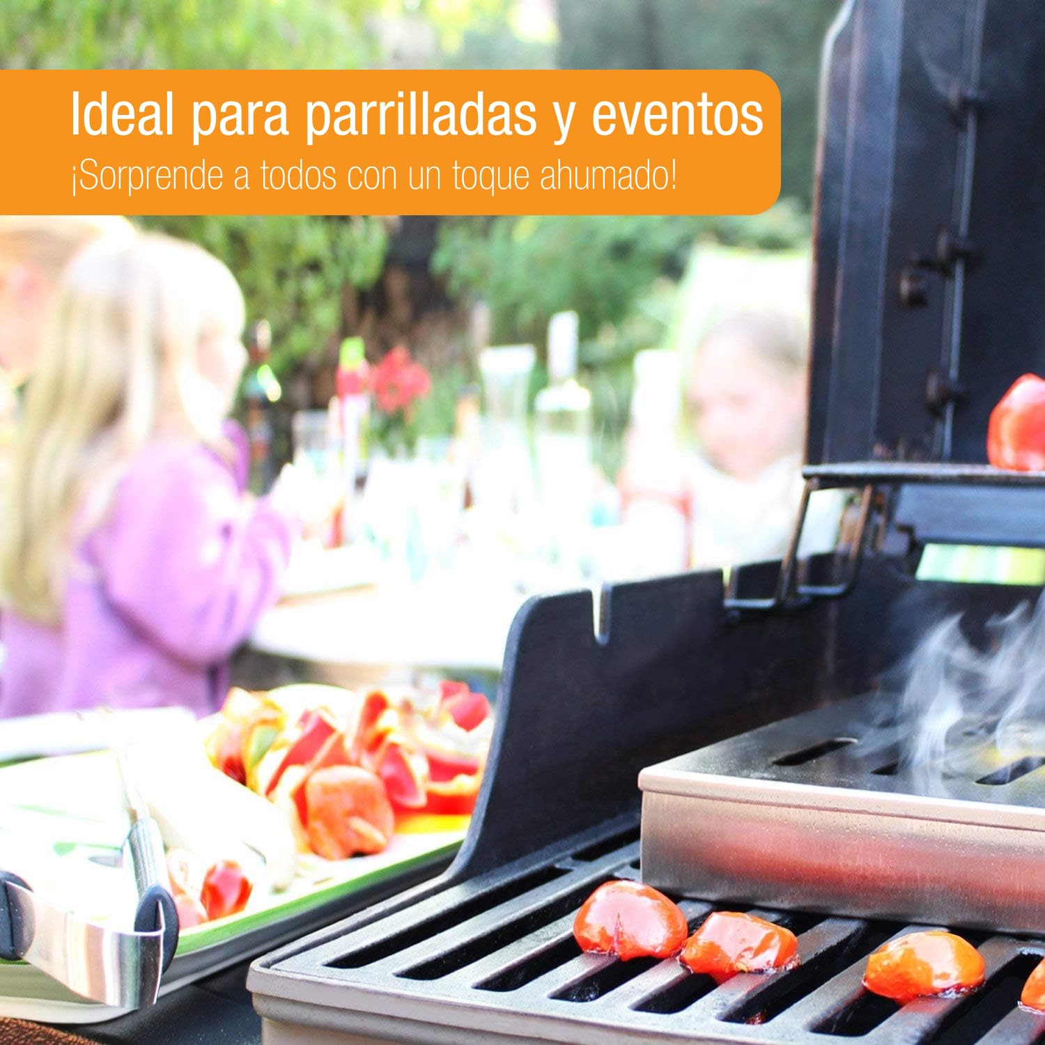 Amazy Caja ahumadora + 2 brochetas + 2 Tipos de virutas de Madera (Haya y Roble) – Caja de Ahumado para Carne o Pescado Apta para lavavajillas