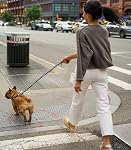Laisse pour chien résistante à la mastication pour chiens de grande taille 6 pi/4 pi, laisses en chaîne métallique anti-mastication robustes avec poignée confortable par Lecreo
