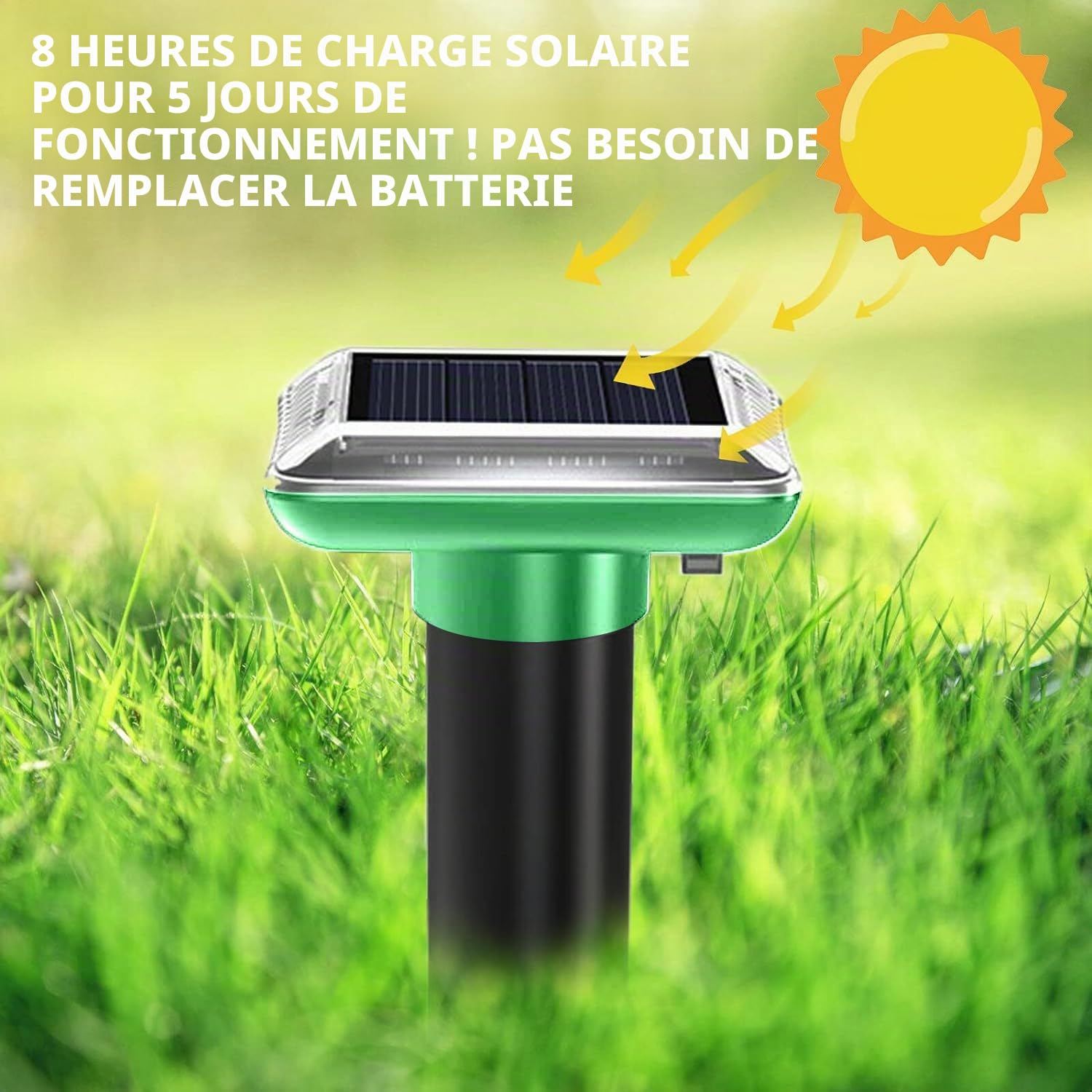 Lot de 6 répulsifs solaires anti-taupes - Répulsif contre les campagnols à ultrasons - IP66 étanche et résistant à la poussière - Pour pelouse et jardin - Vert