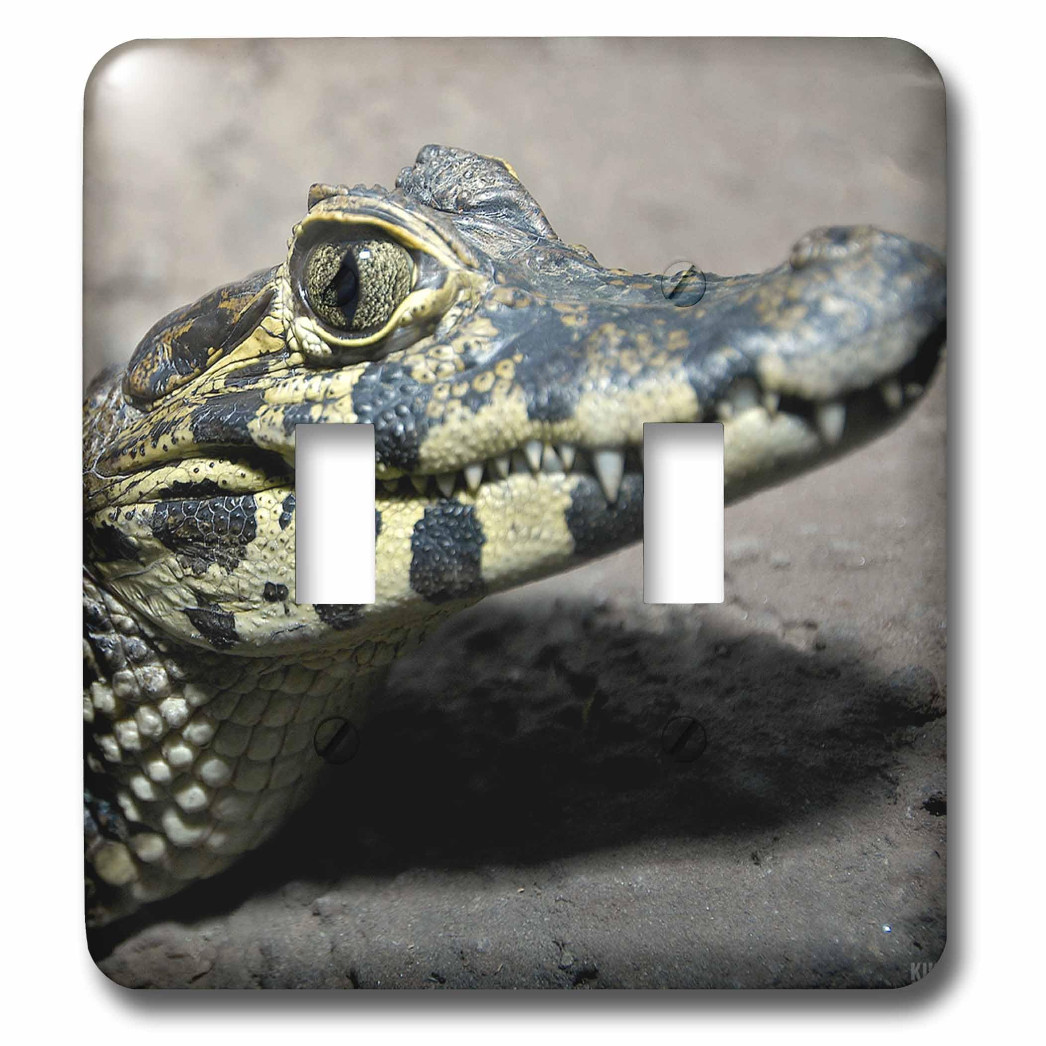 Double interrupteur à bascule Baby Alligator 3dRose lsp_9939_2