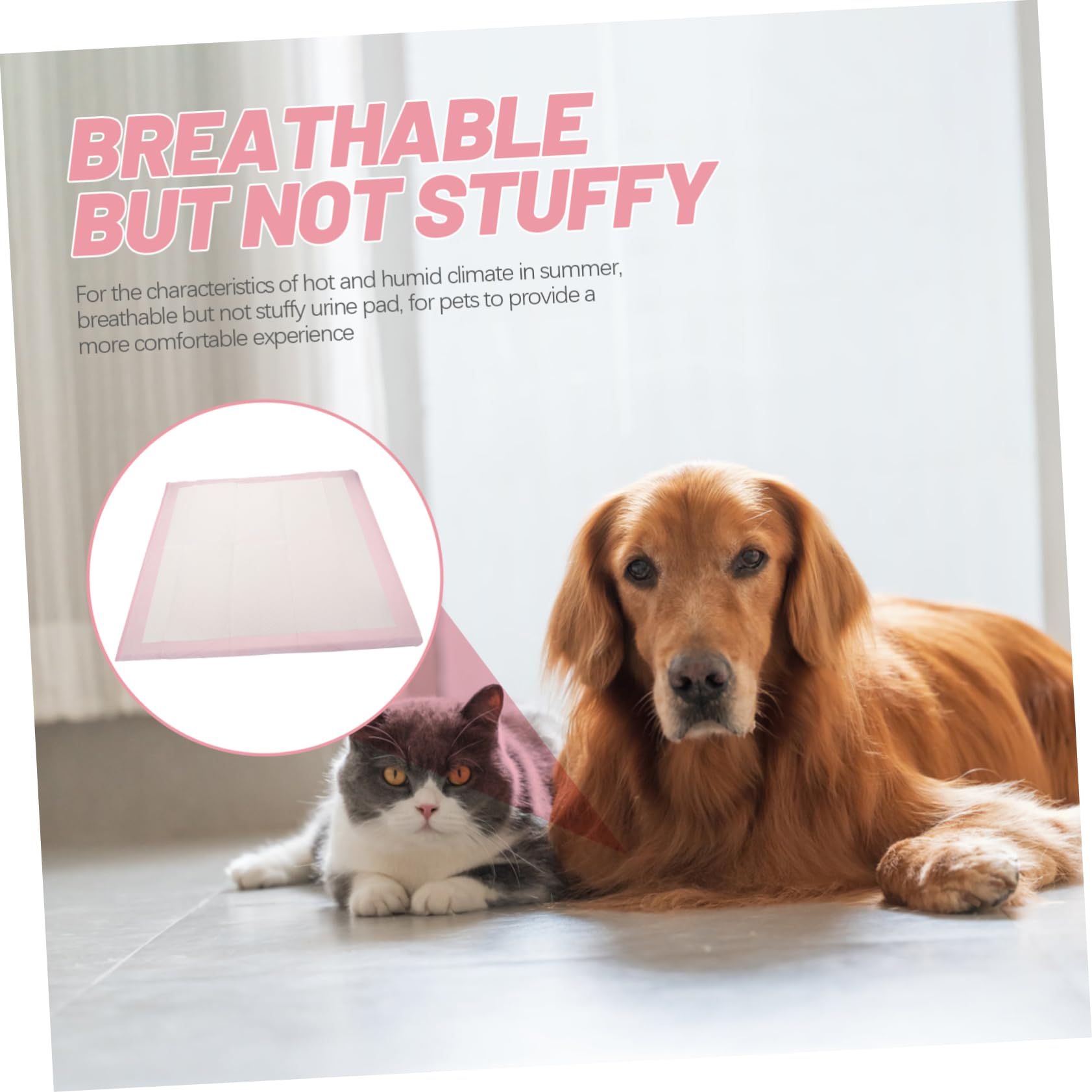 TOYANDONA 1tasche Trainingsunterlage Für Hunde Saugfähige Hundetoilette Welpen-trainingsunterlage Platzierung Zu Hause Hundebox Einfach in Anwendung Aus Robusten Materialien Für Welpen Und m