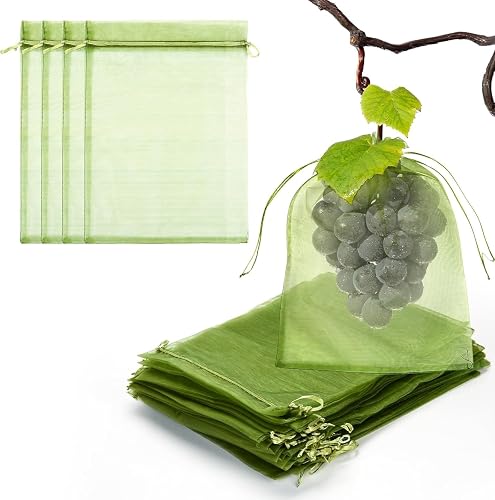12 PCS 8X12 inches Fruit Protection Bags, Fruit Bags for Fruit Trees, Green Netting Fruit Cover Bags Drawstring Mesh Fruit Protectors Pest Barrier for Fruit Trees Veggies Garden