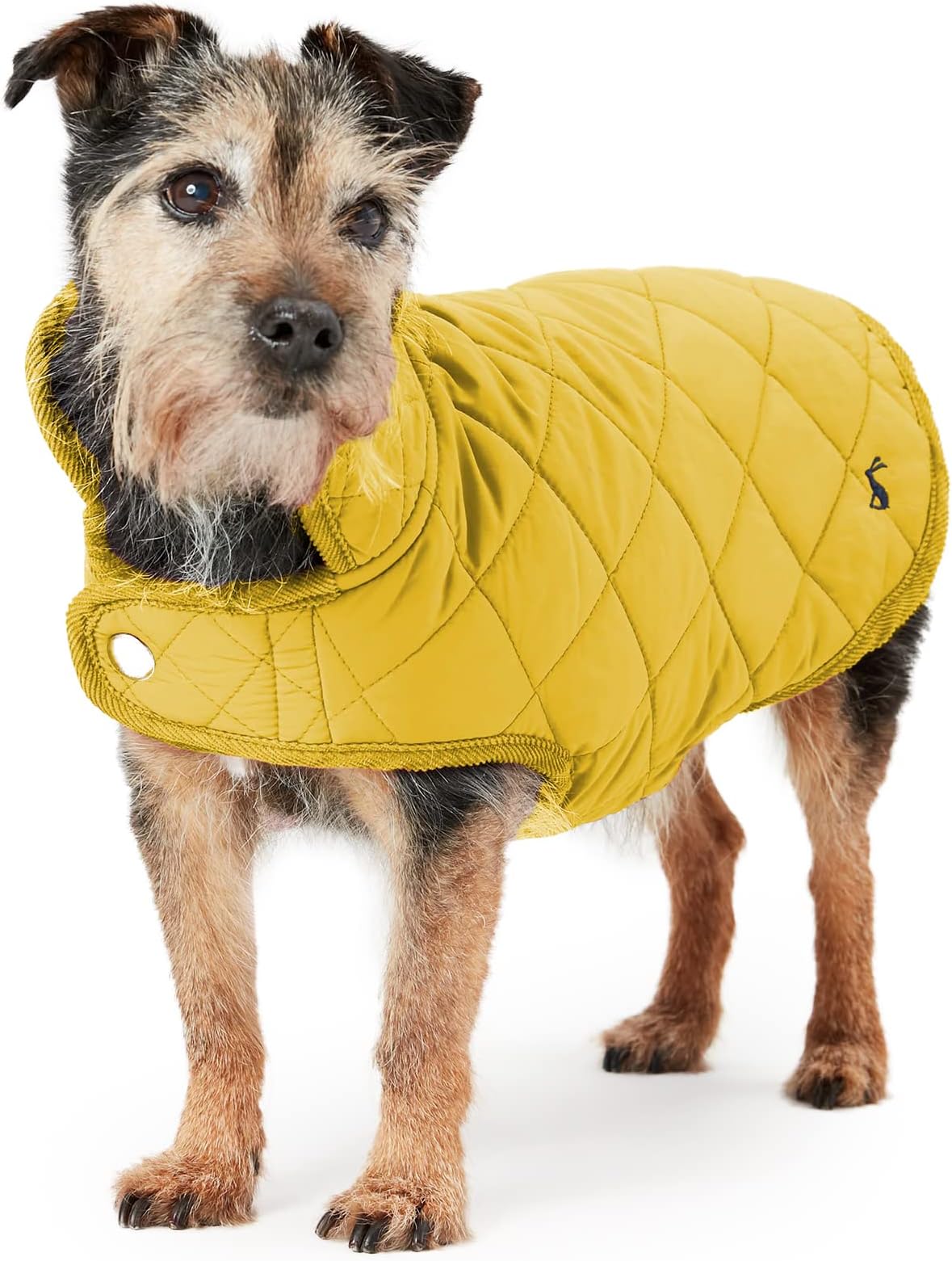 Embark Pets Wax Dog Jacket Dog Raincoat to Keep Cozy on Colder Winter
