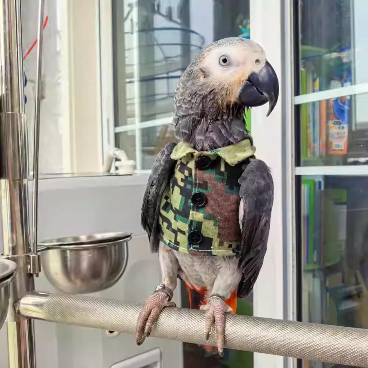 Bird Clothes Christmas Party Birthday Costume for Parrot Halloween Pet Birds Clothes Birds Cosplay Outfit Handsome Camouflage Coat for African Grey Macaw Cockatoo (Sulphur-Crested Cockatoo)