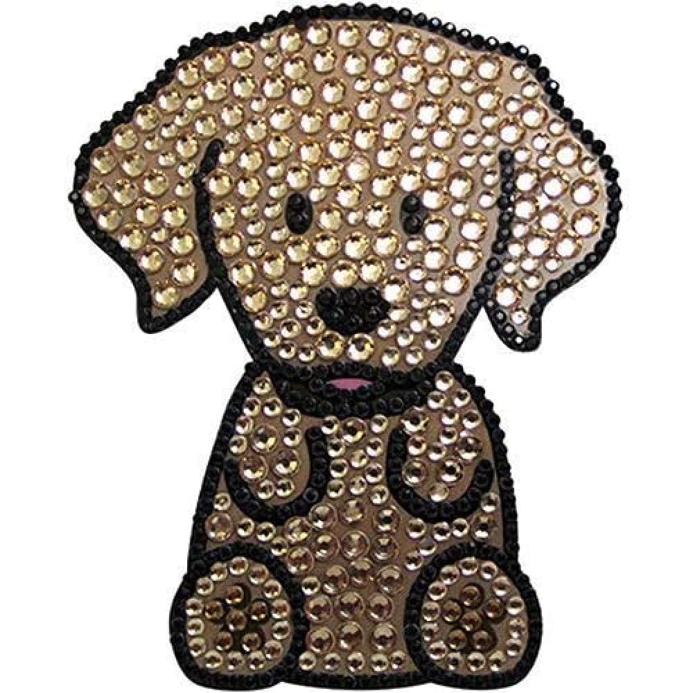 Il miglior regalo per questo Golden Retriever è la carta stessa dei