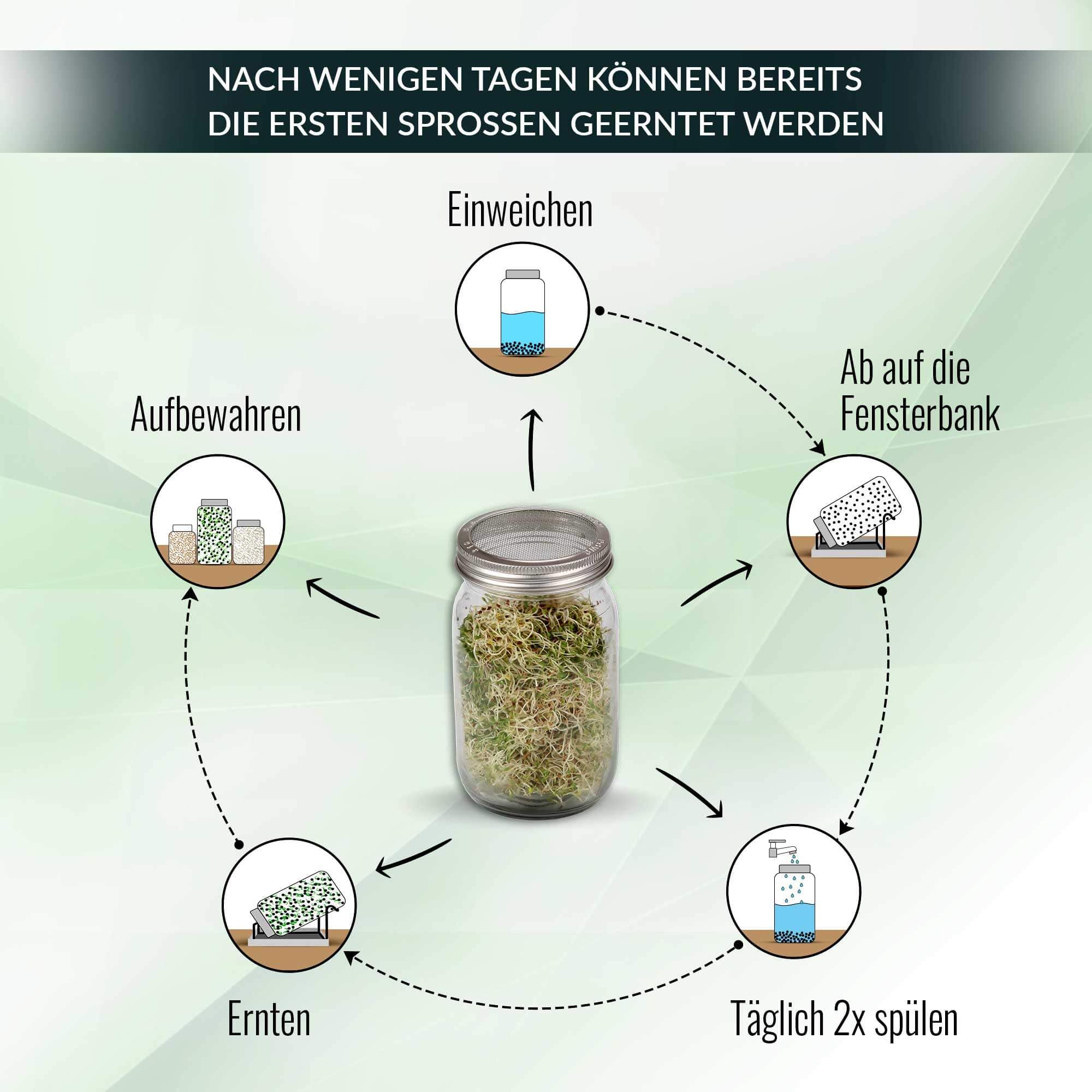 Bio Sprossenglas 2er Set-Keimglas 950ml inkl. 2X Abdunklungshüllen, 1x Keramikschale & Anleitung - Rostfreier Edelstahl - Sprossenzucht