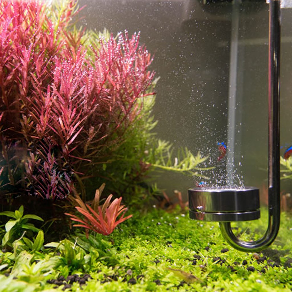 GLASS U-SHAPE TUBE Bend for Aquarium Co2 System Diffuser Nano Marine