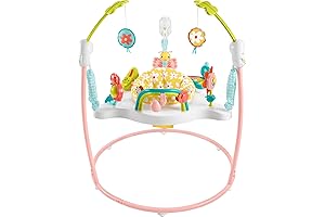 Bright Stars Baby Bouncer Activity Center Blooming Fun, Jumperoo with Music, Lights,...