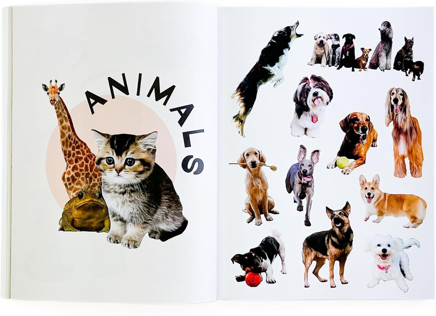 Collage Kit Vol. 2: 1000+ Images for Junk Journaling, Vision Boarding & DIY Crafts | 230-Page Creative Magazine with Perforated Pages, Prompts & Art Inspiration for Beginners & Pros (Volume 2)