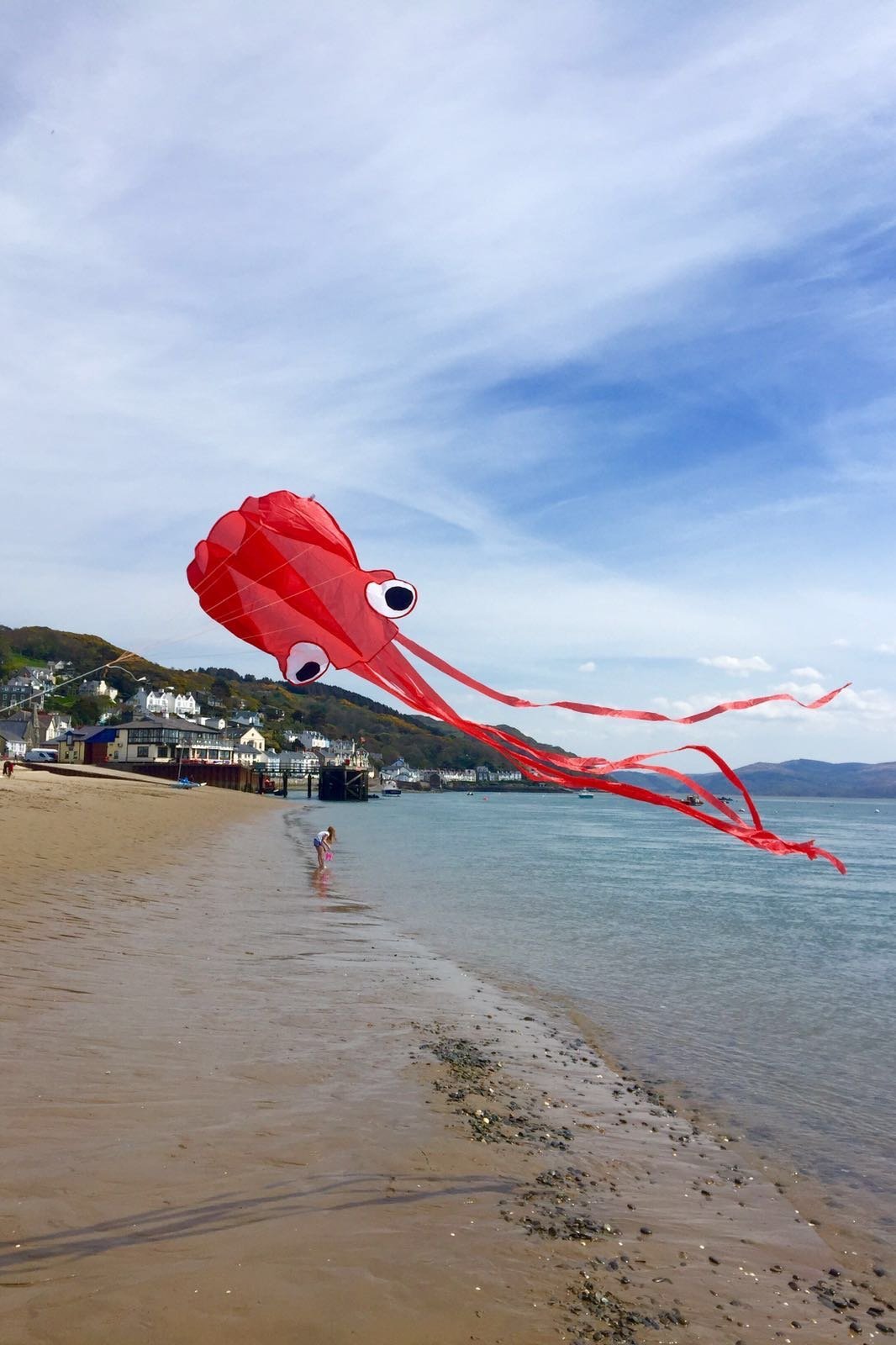 Little Rocket Octopus Kite Easy to Fly Kite. Perfect Kite for Kids
