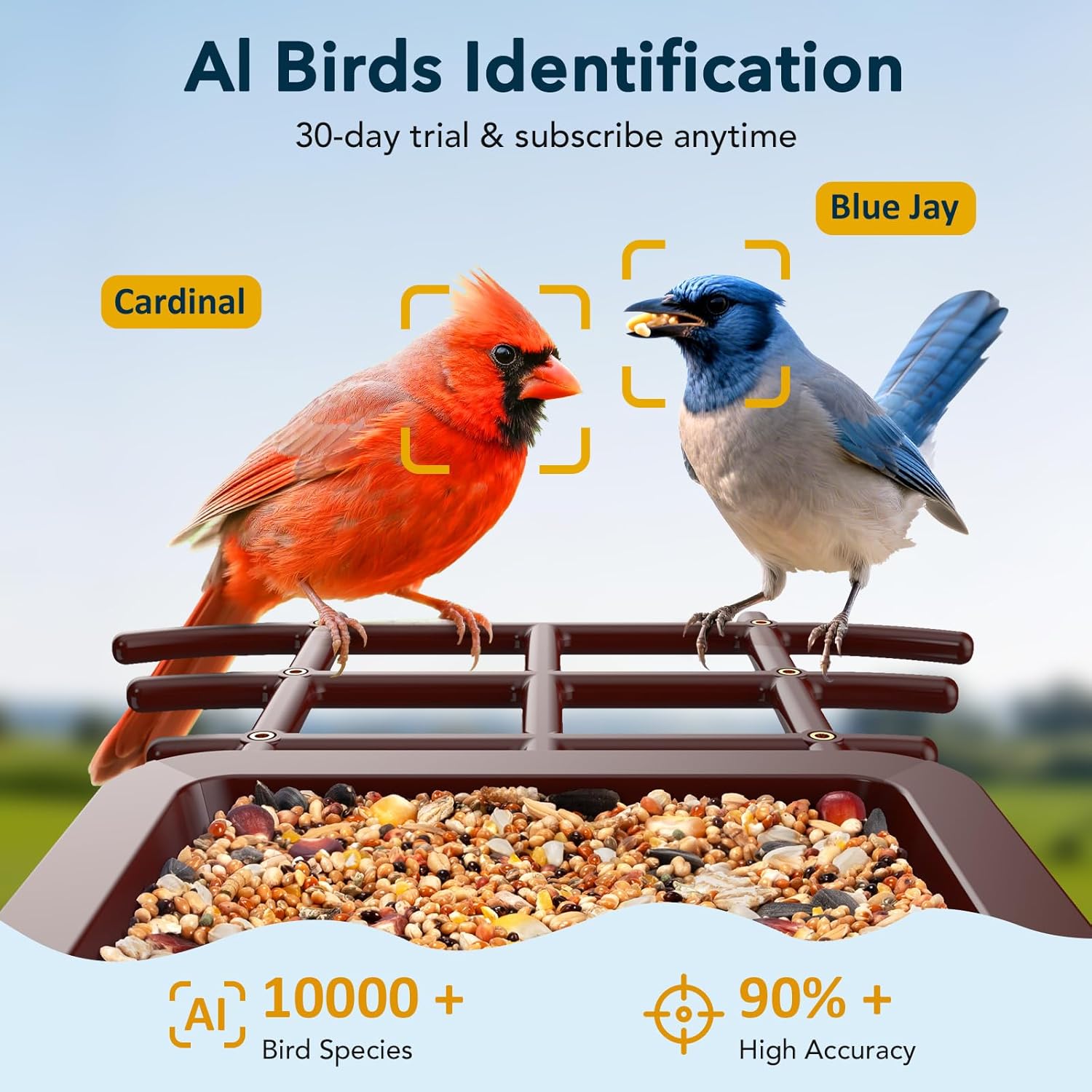 PeckCam® Bird Feeder with Camera Solar Powered, AI Identify & Auto Capture, 2K HD Live Video Smart Bird Feeder Camera Instant Notifications in Backyard, Gift for Bird Lovers - Image 4