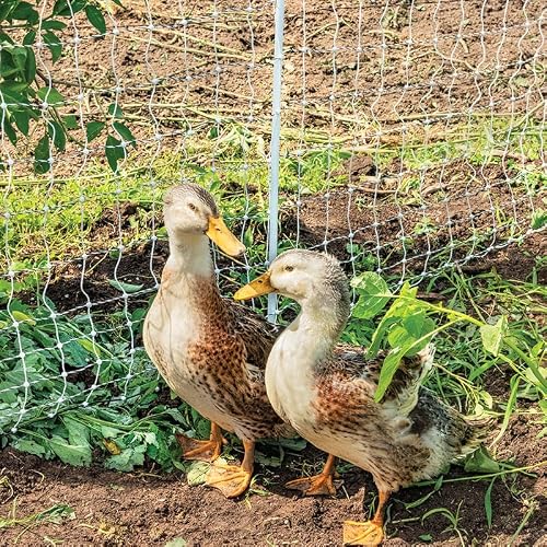 Premier 1 PoultryNet+ Starter Kit | White/Black Electric Net Fence – 42\" H x 100\'L, Includes: Solar Energizer, FiberTuff Support Posts and Tester