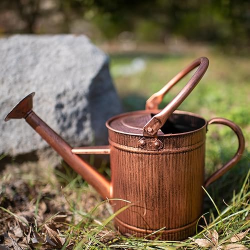 Miniatura 7 de HORTICAN Regadera decorativa de metal de 1 galón con boquilla extraíble, regadera perfecta para plantas en interiores y exteriores, regadera de cobre