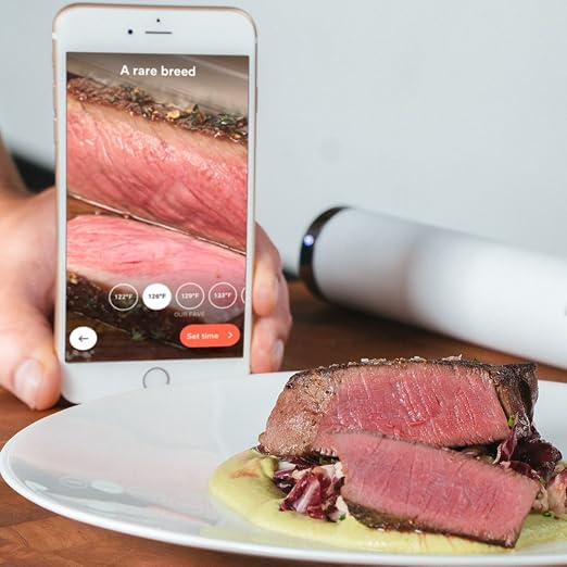 ChefSteps CS10001 Joule Sous Vide 