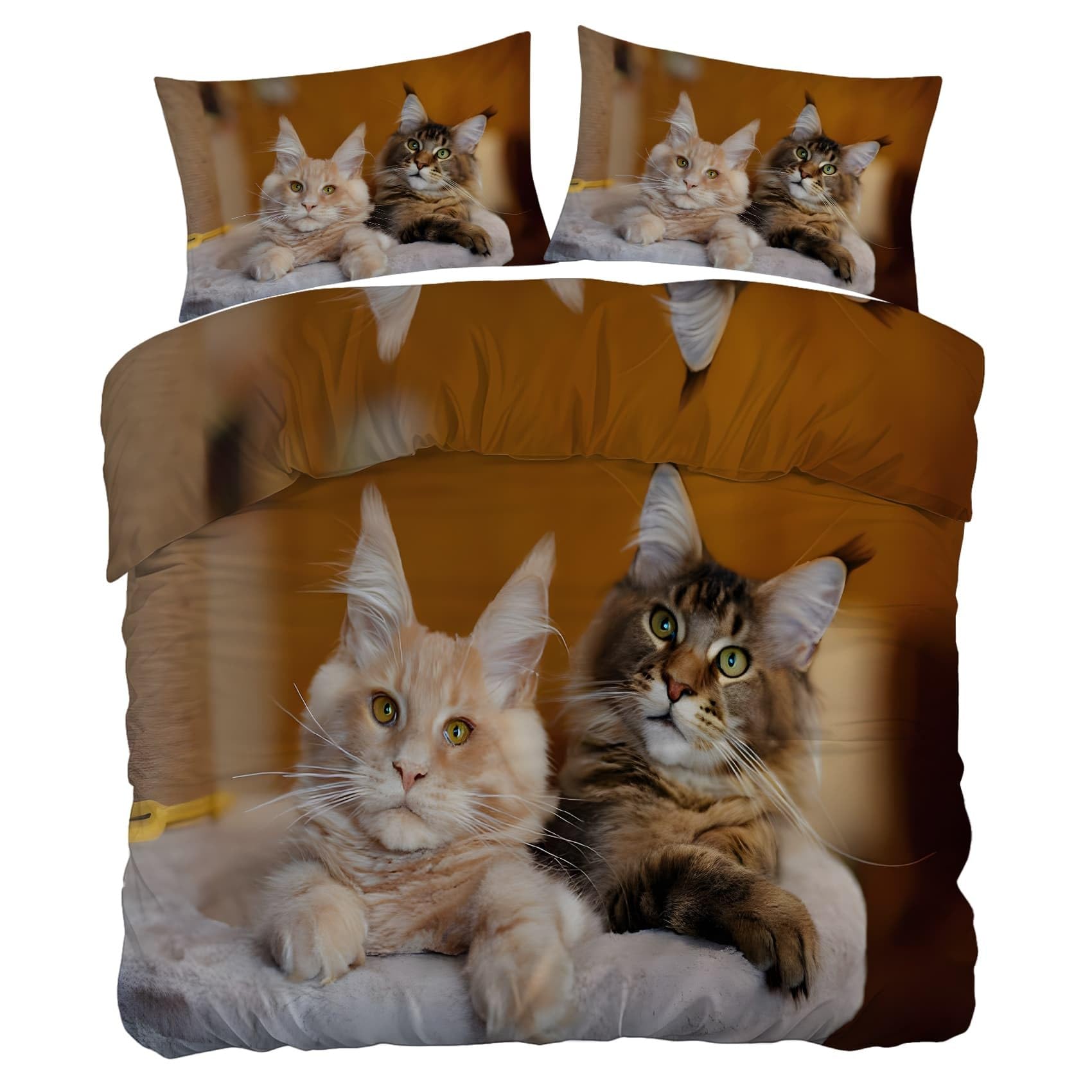 Copripiumino Matrimoniale 250x240cm Documentario Completo letto Singolo Letto con Cerniera, Copripiumino in Morbida Microfibra con 2 Federe 50x80cm, Gatto carino ZB431