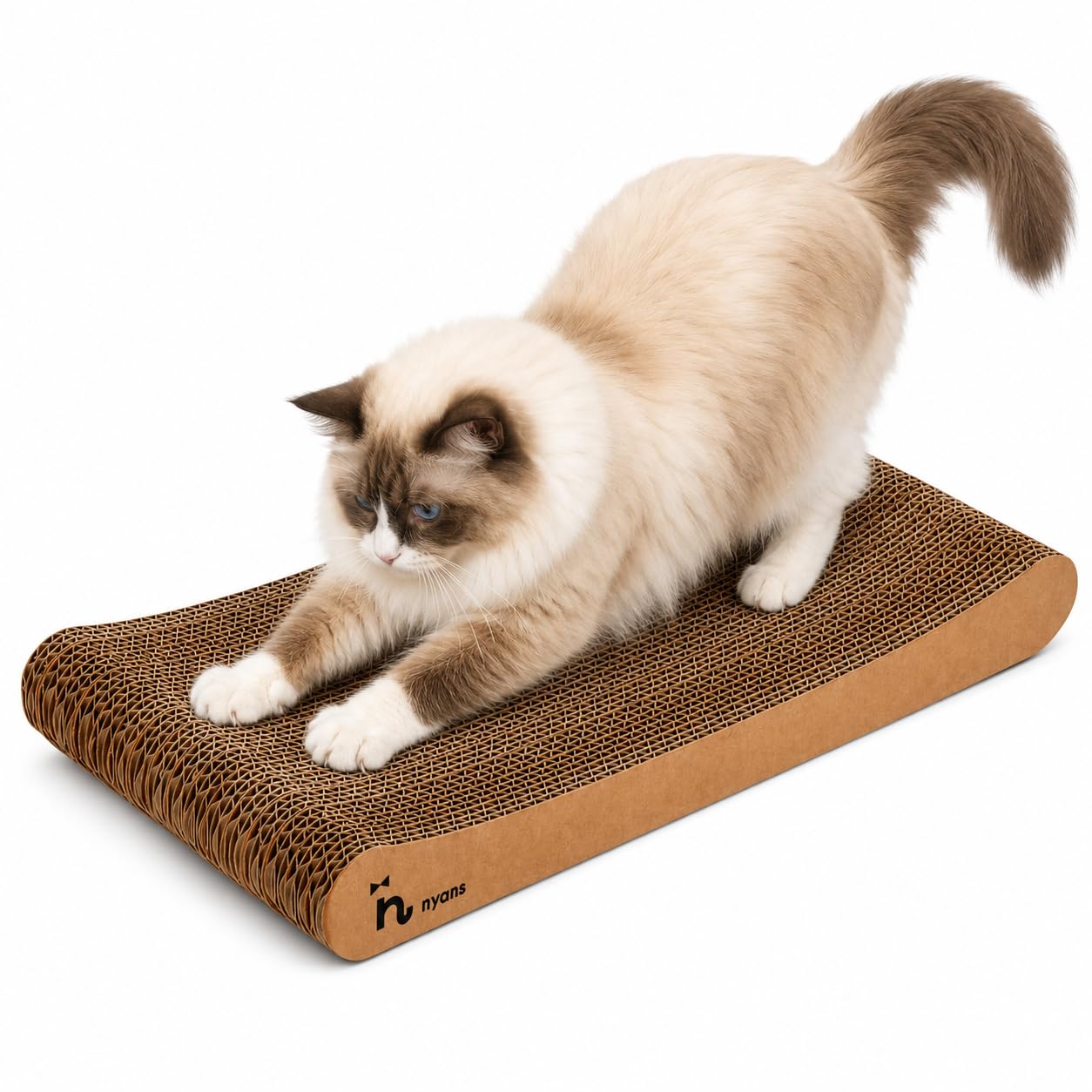 猫 の 爪 とぎ