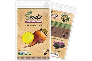 Touchstone Gold Yellow Beet Seeds