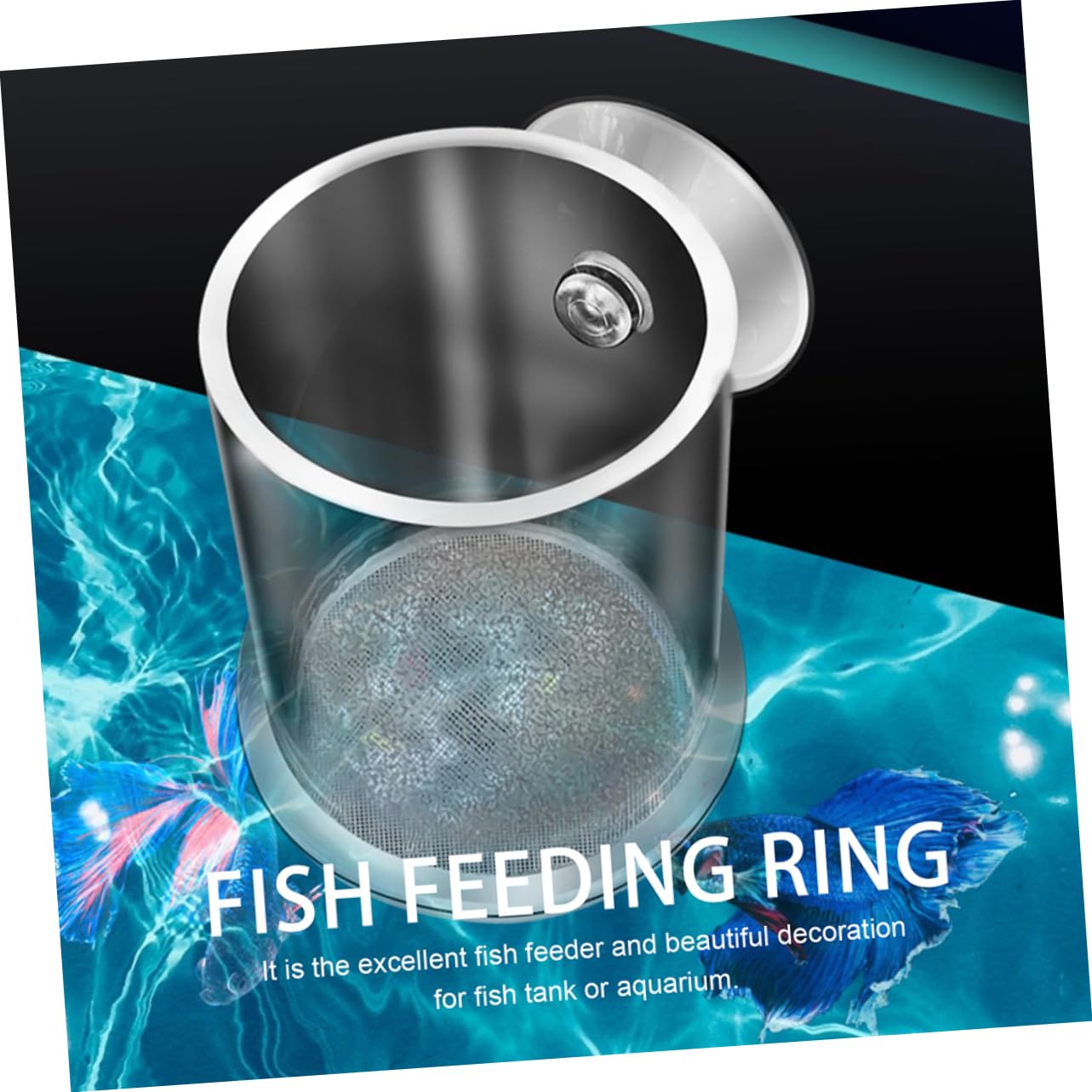 Kisangel 5stücke Futterring Für Aquarien Acryl-fütterungsring Mit Saugnapf Für Garnelen Und Kleine Tropische Fische Sorgt Für Sauberes Füttern Und Fördert Gesundes Wachstum