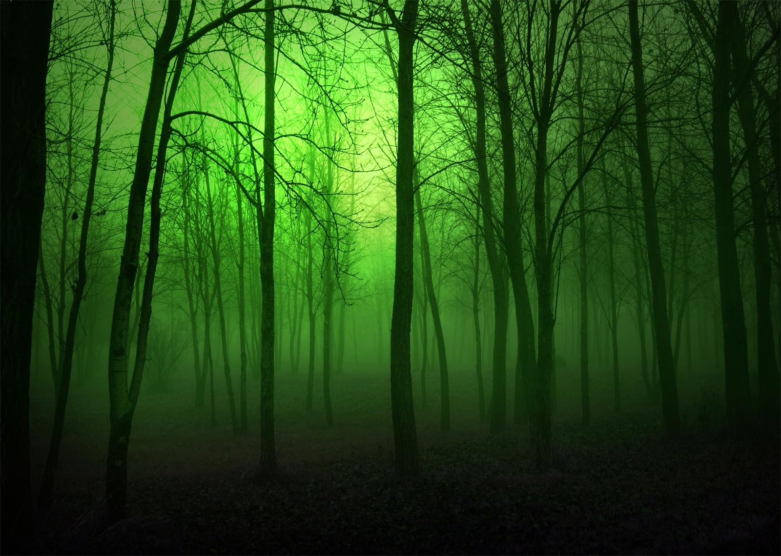 10x6.5FT (3x2m) Foresta Nebbiosa Verde Neon Sfondo Fotografico | Silhouette Di Bosco Inquietante Fondale In Tessuto,Alberi Alti Spogli,Per Feste Halloween E Ritratti Spaventosi,Photo Booth
