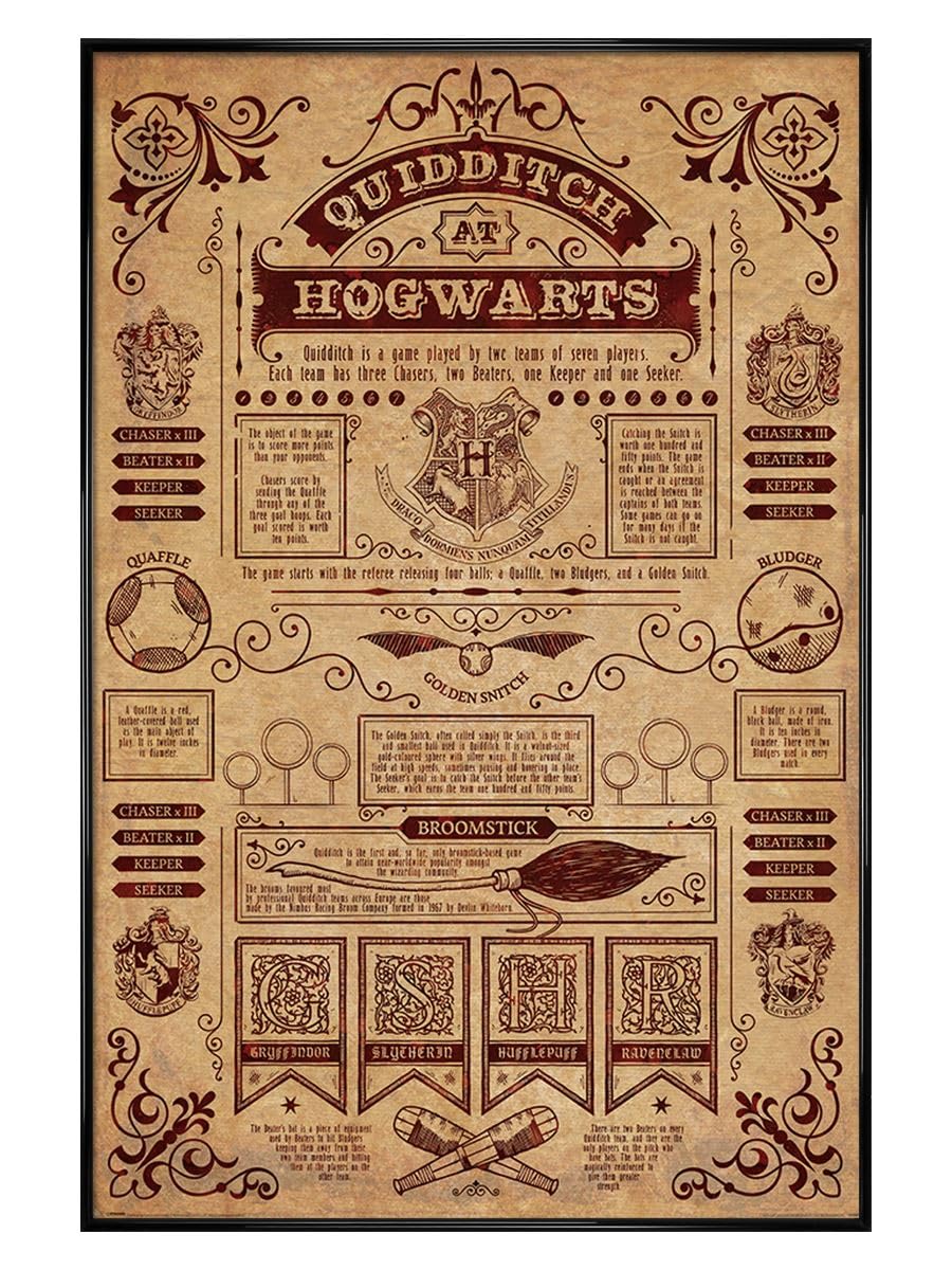 Grindstore Harry Potter Quidditch At Hogwarts - Black Gloss Framed