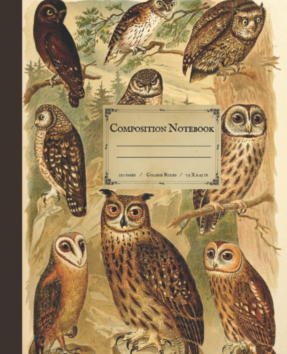 Composition Notebook: Beautiful College Ruled Notebook with Vintage Owl Illustration 7.5" x 9.75", 110 pages