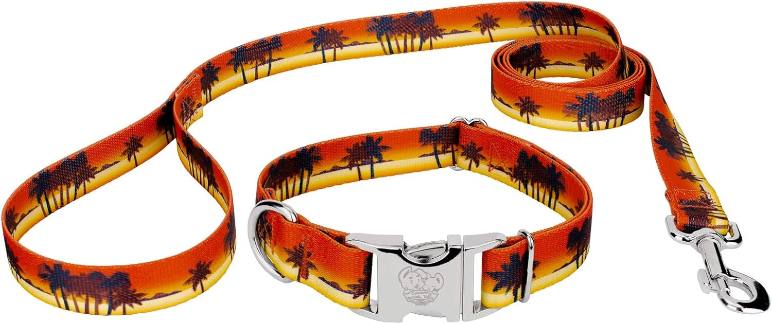 Country Brook Petz - Premium Caribbean Sunset Dog Collar and Leash - Summer Breeze Collection Featuring Sunny Designs (1 Inch, Medium)