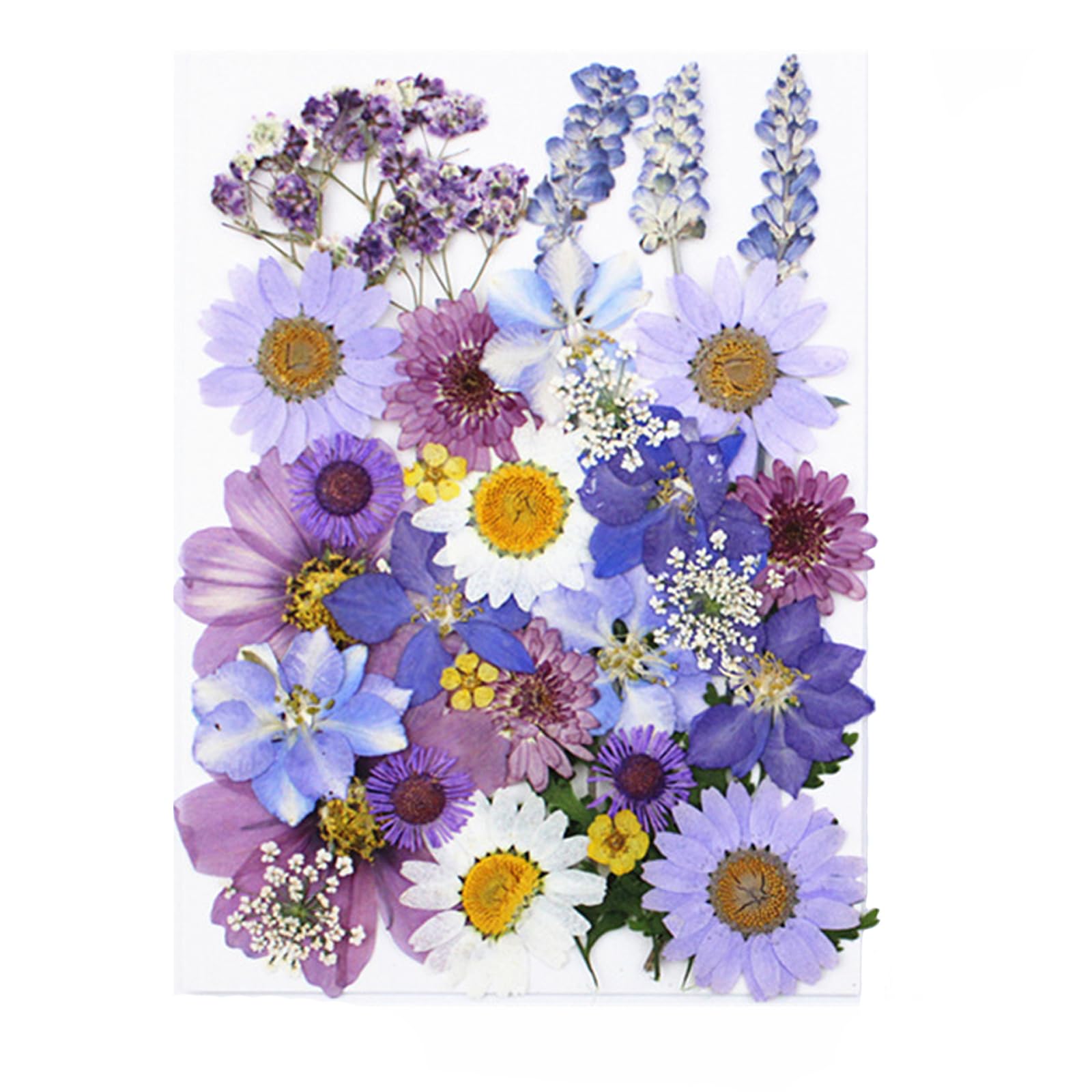 Boutihao 33 Pièces Fleurs Séchées Pressées Naturelles Multicolores - Idéal Pour Résine, Bijoux, Nail Art Et Décoration DIY