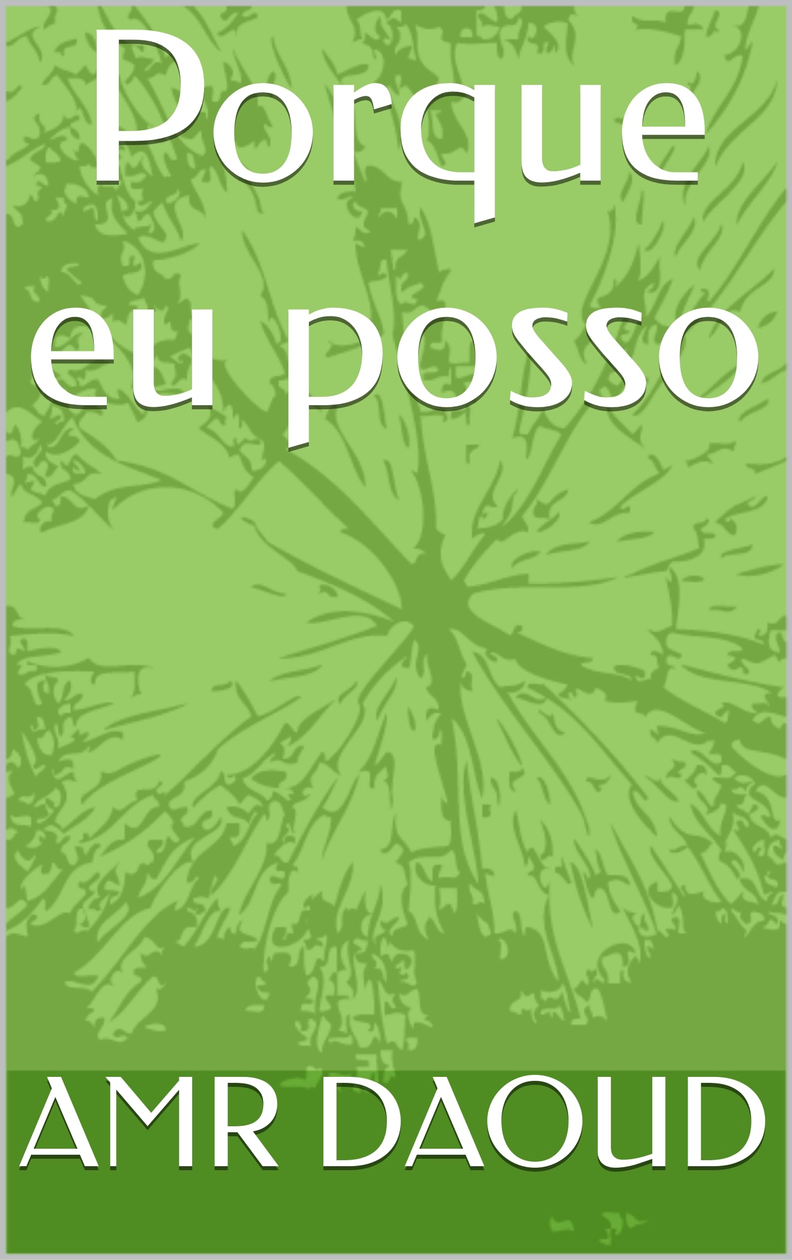 Porque eu posso (Portuguese Edition) - Roman en langue portugaise pour lecteur