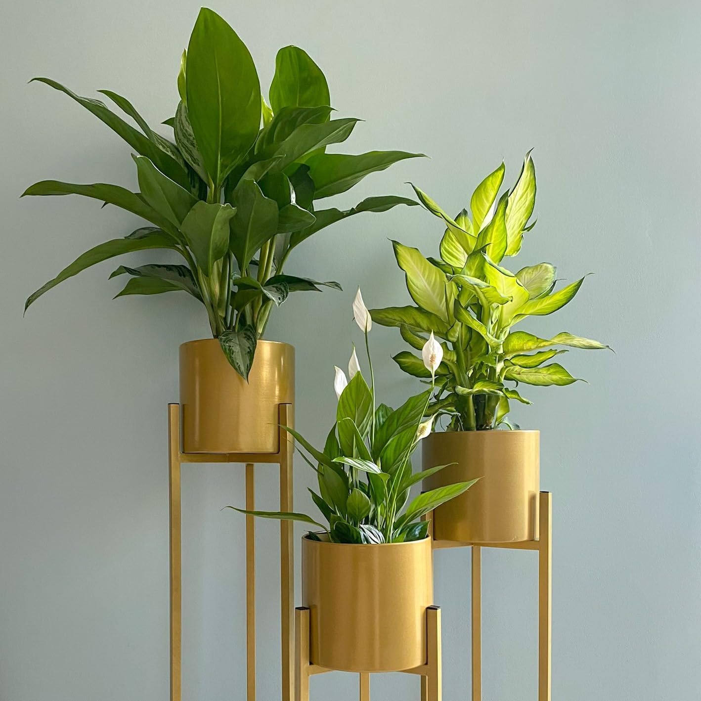 ABEER IMPEX Modern Metal Floor Flower Stands Planter for Living Room Bedroom Display Plant Stand Tall Indoor Plant Stand with Planter Pot Flower Stands Display Plant (Gold) Set of_3 (B0CZYWVV1Q) Amazon Price History, Amazon Price Tracker