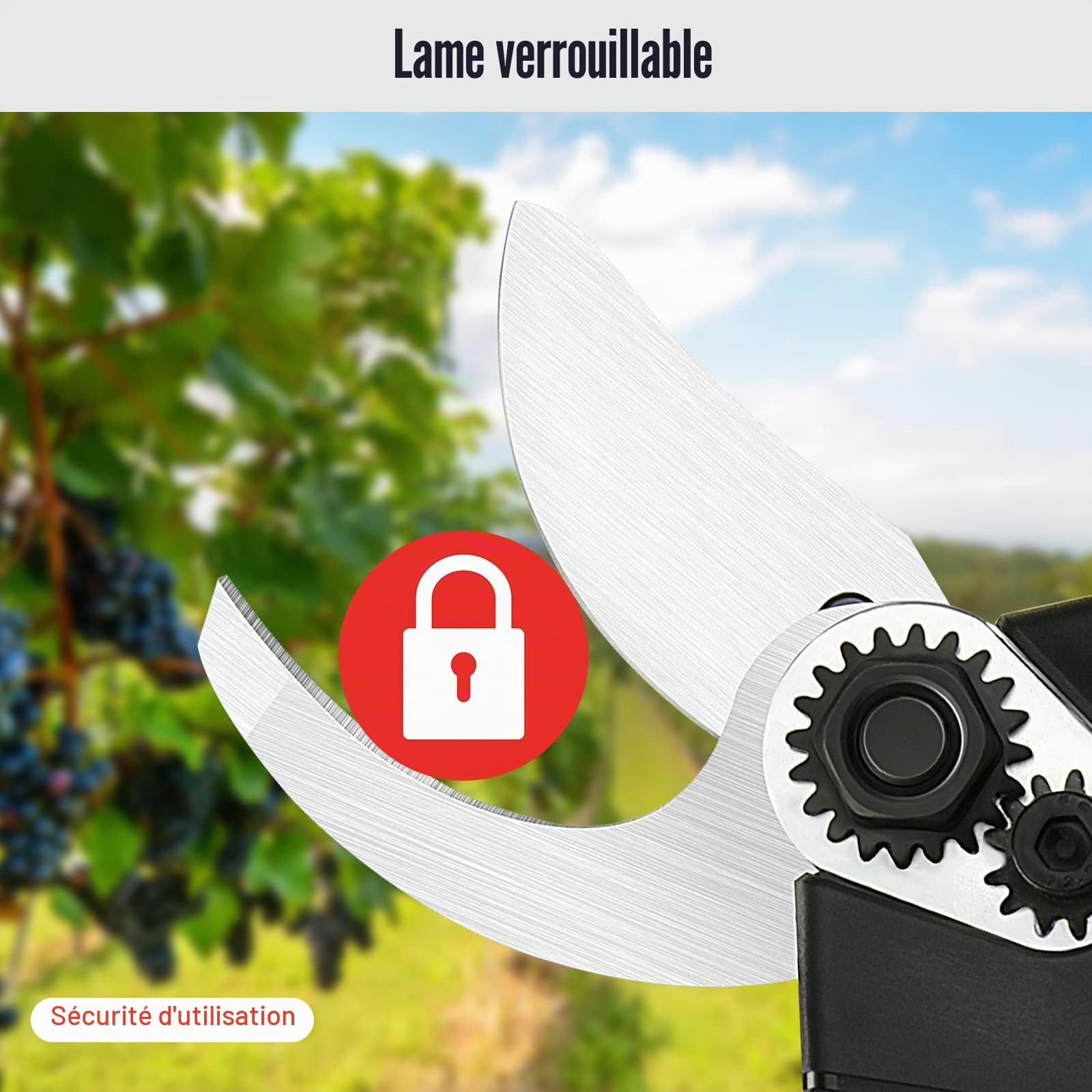Secateur Electrique Sans Fil: Sécateur Électrique avec 2 x 2000mAh Batterie - 24V Secateur Electrique avec SK5 Lame Sécateur de Jardin pour Hedge, Arbre, Fruits,Rosier,Passionnés de jardinage