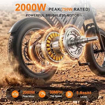 Electric Bike for Adults, 48V 30MPH Electric Dirt Bike