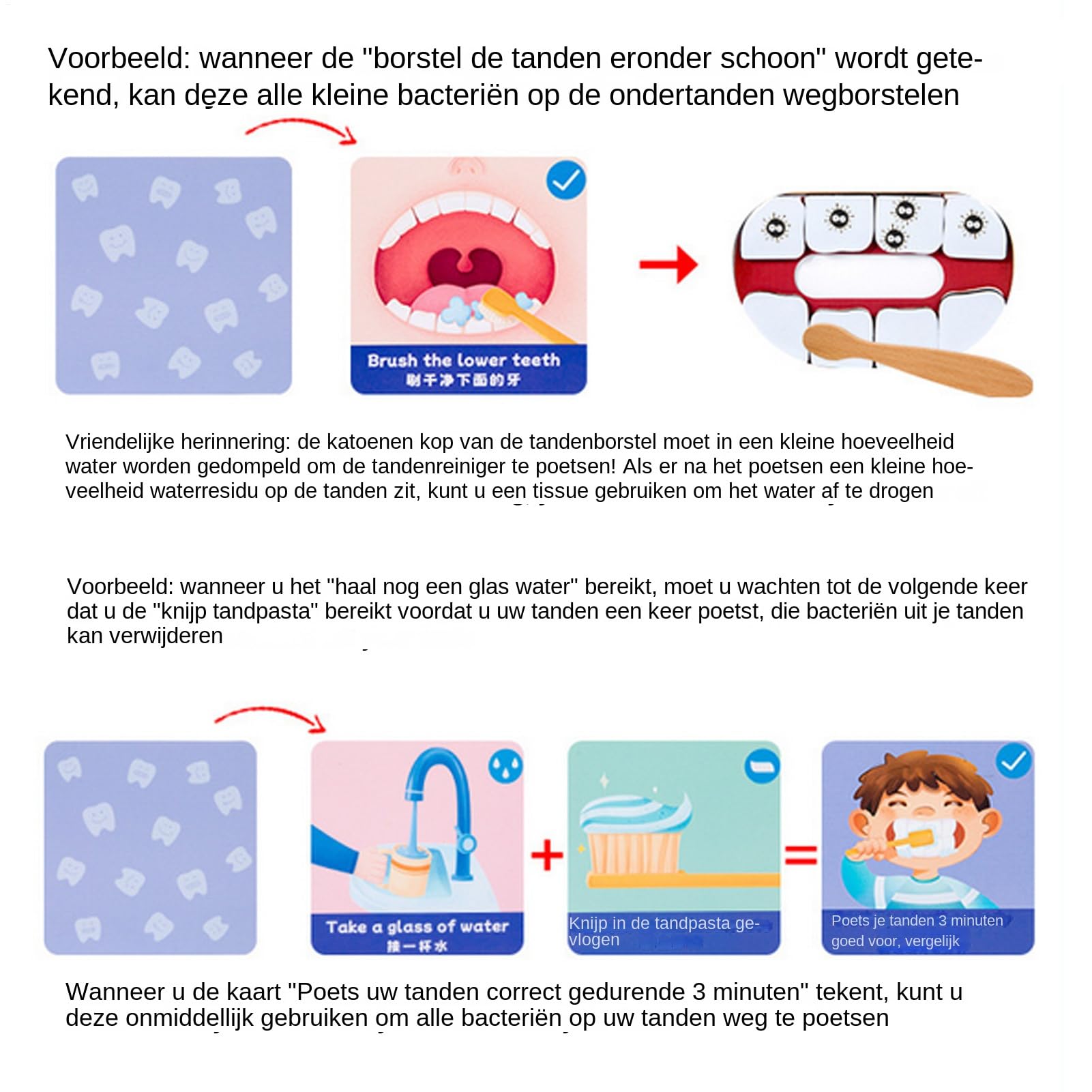 Kit éducatif Dentaire - Cartes de défense Dentaire, modèle de Dents avec Brosse, kit d'apprentissage d'hygiène bucco-Dentaire | Ressource d'apprentissage Interactive dentistes garçons et