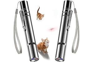 2PCS Rechargeable Laser Pointer Interactive Cat Dog Kitten Toy with USB Charging