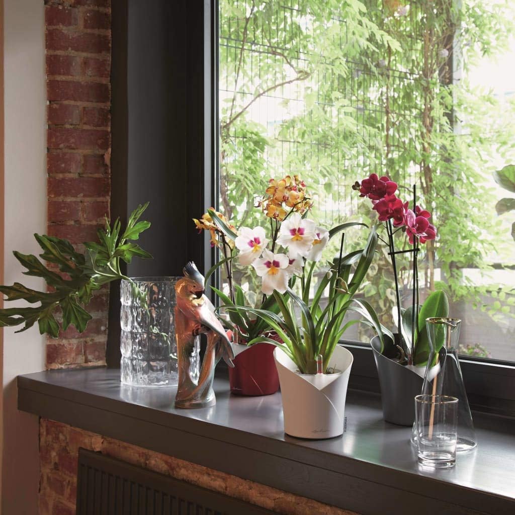 Lechuza 13961 ORCHIDEA Self-Watering Planter for Indoor and Outdoor Use, 7.2" x 7" x 7.7", Slate Matte